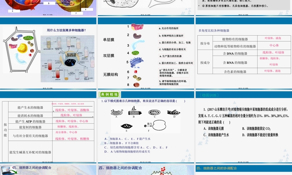 一轮复习《细胞器——系统内的分工合作.pptx