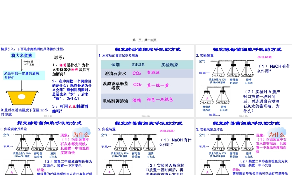 一轮复习细胞呼吸(实用简化版).pptx