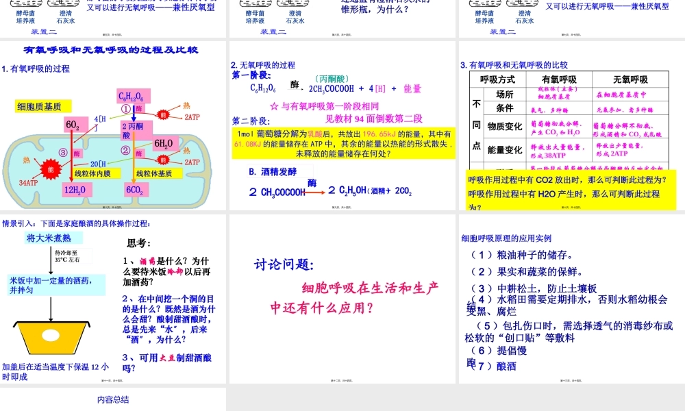 一轮复习细胞呼吸(实用简化版).pptx