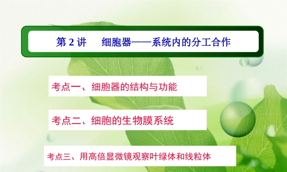 一轮复习细胞器.pptx