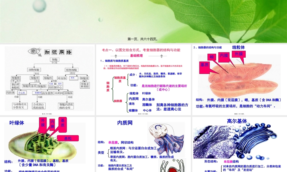 一轮复习细胞器.pptx