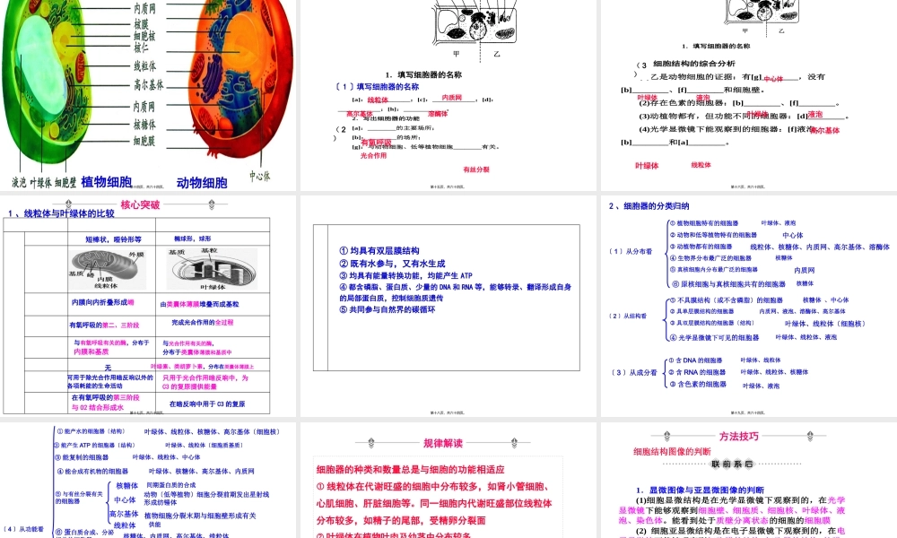 一轮复习细胞器.pptx