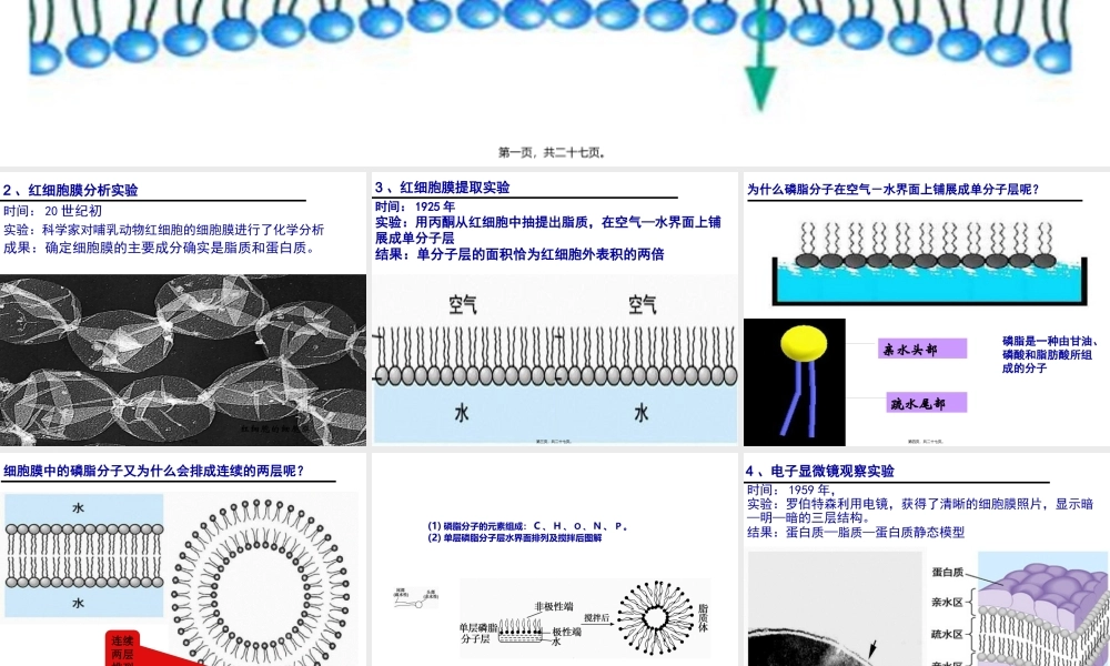 一轮复习：细胞膜流动镶嵌模型.pptx