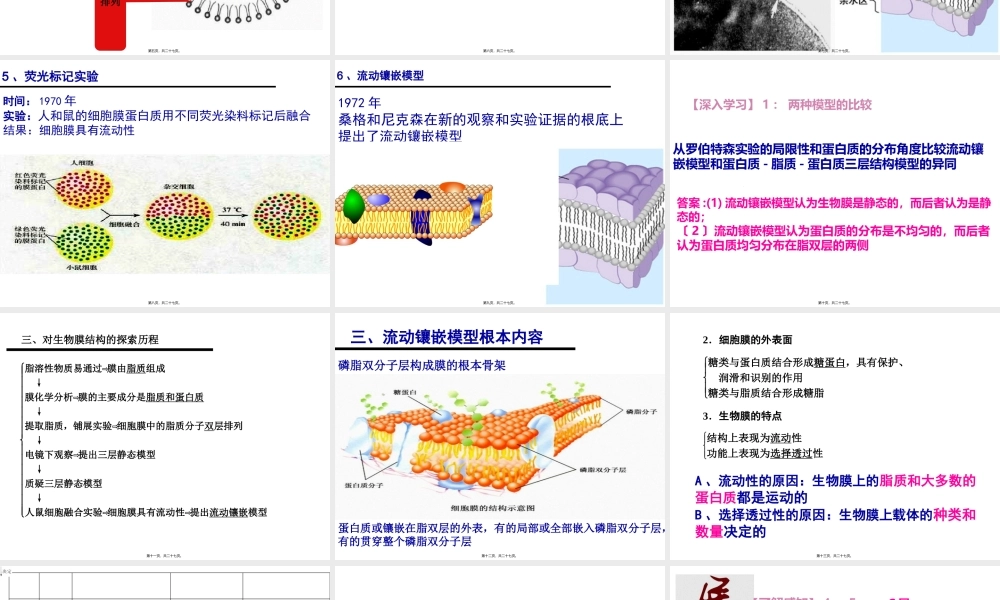 一轮复习：细胞膜流动镶嵌模型.pptx