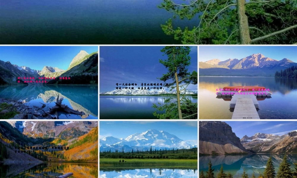 一针见血的话.pptx