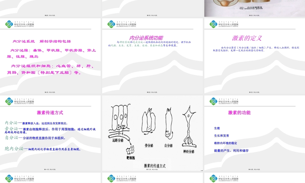 丁丽萍内分泌系统总论.ppt