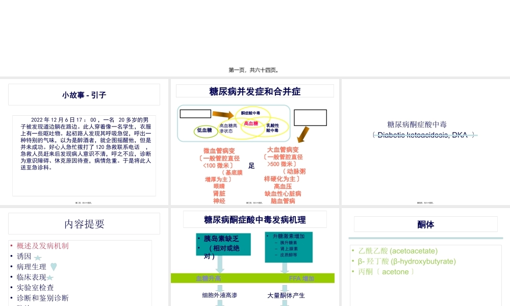 丁大糖尿病医院：糖尿病急性并发症概要.pptx