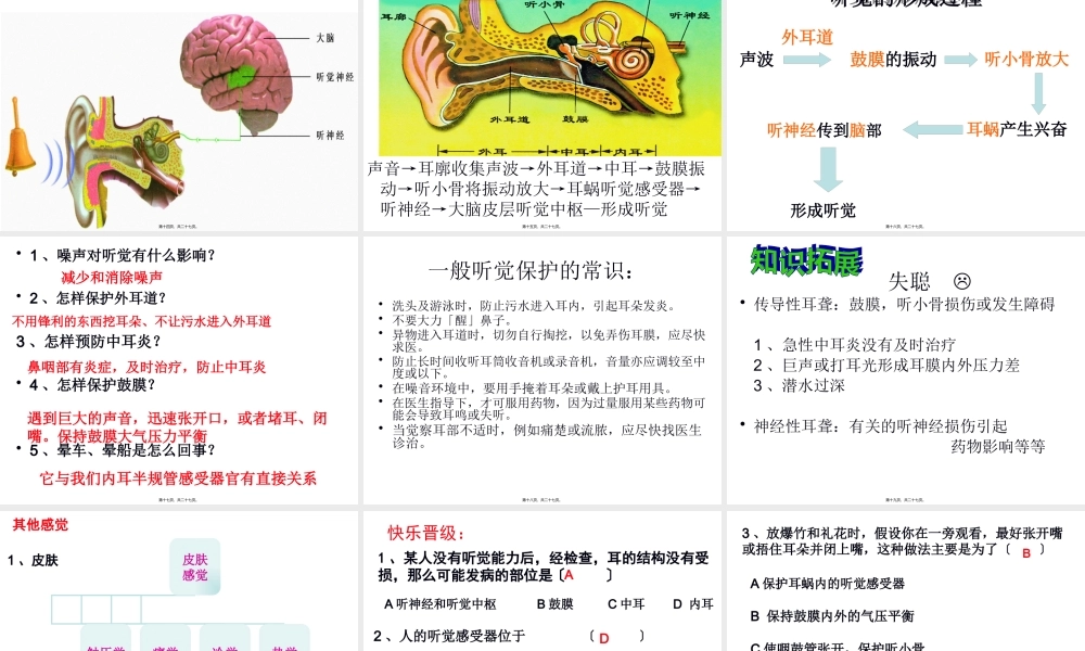 七下3-4-4(2)人日对周围世界的感知耳与听觉.pptx