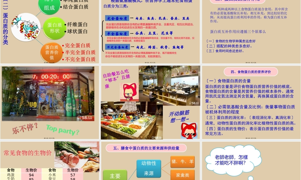 七大营养素之蛋白质.pptx