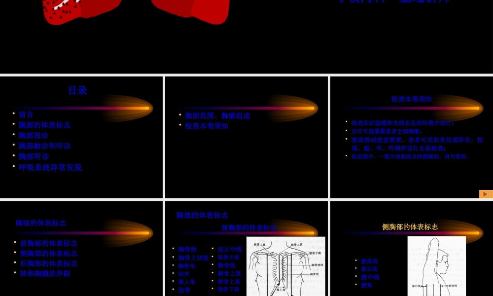 七年制胸部体格检查.pptx