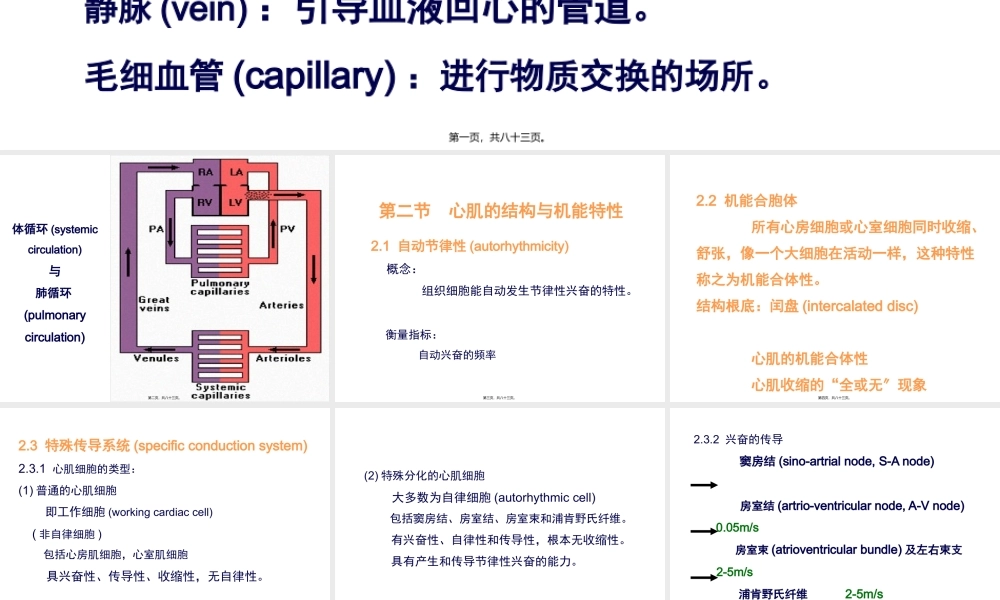 七章血液循环-PPT文档.pptx