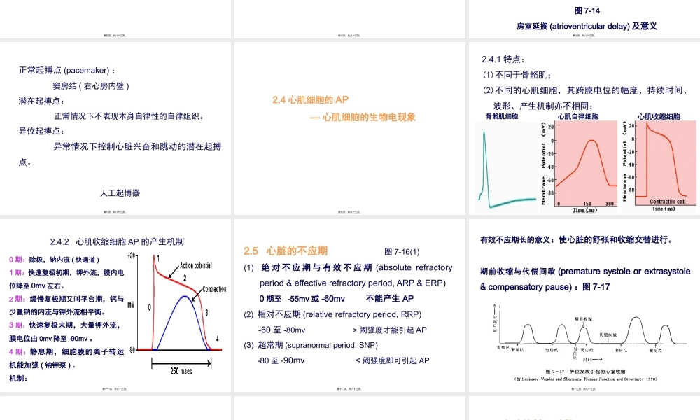 七章血液循环-PPT文档.pptx