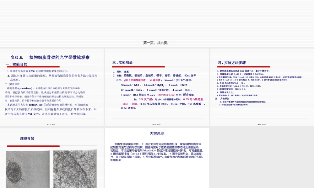 三、植物细胞骨架的光学显微镜观察.pptx