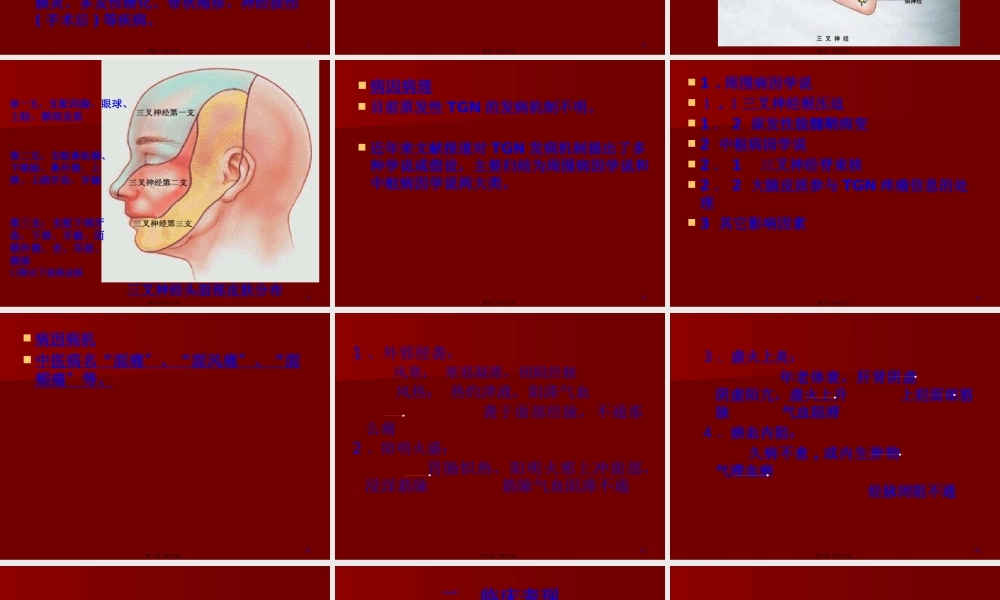 三叉神经痛详解.pptx
