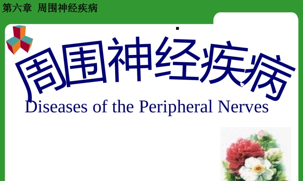 三叉神经痛及面神经炎.pptx