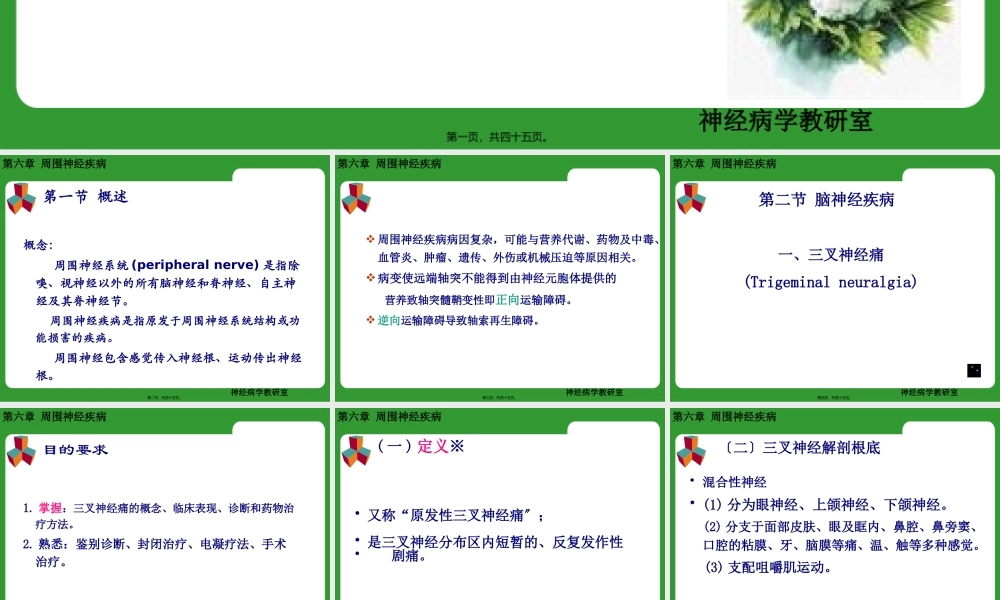 三叉神经痛及面神经炎.pptx
