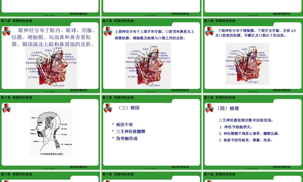 三叉神经痛及面神经炎.pptx