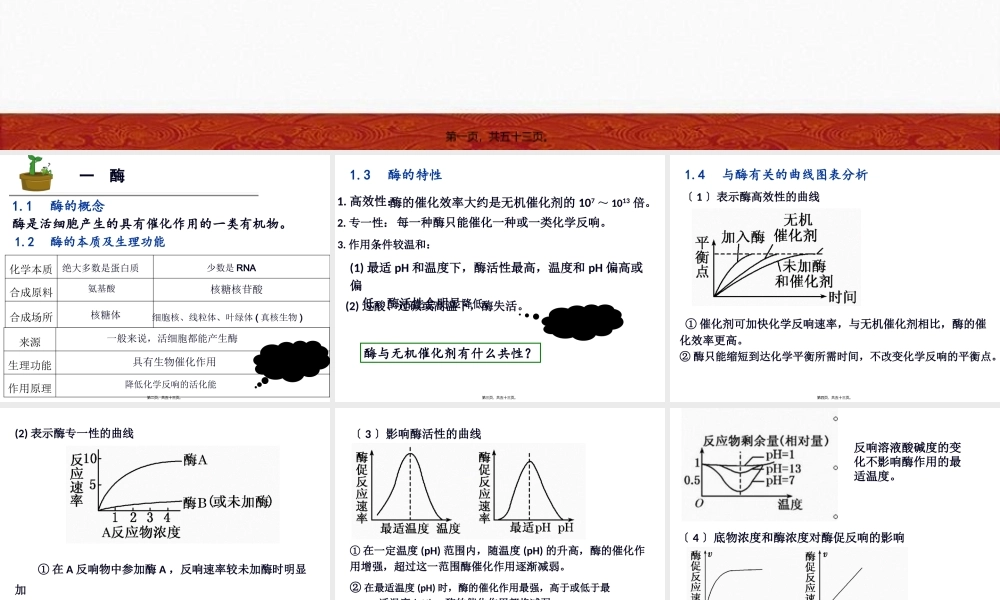 三细胞的能量供应和利用.pptx