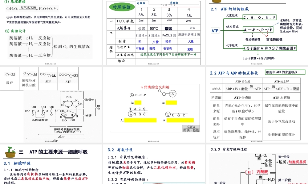 三细胞的能量供应和利用.pptx