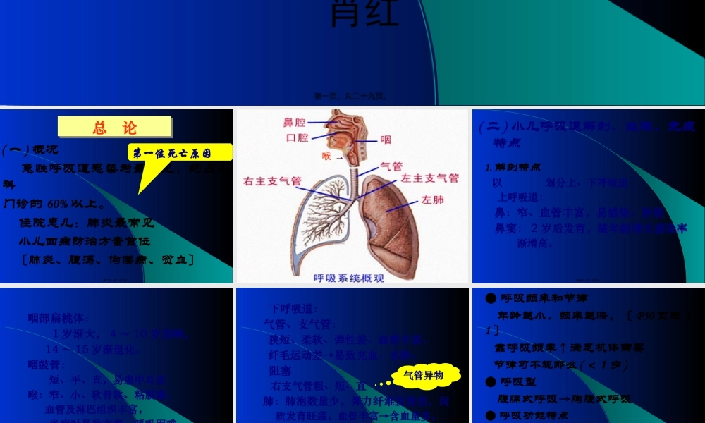 上感、支炎、热性惊厥.pptx