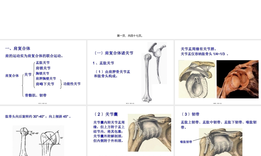上肢关节运动.pptx