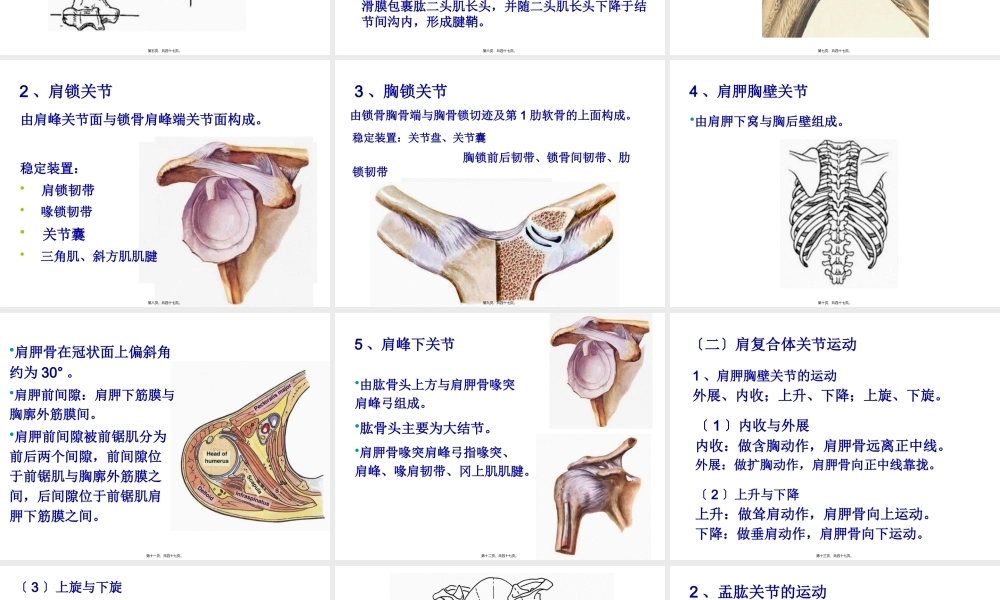 上肢关节运动.pptx