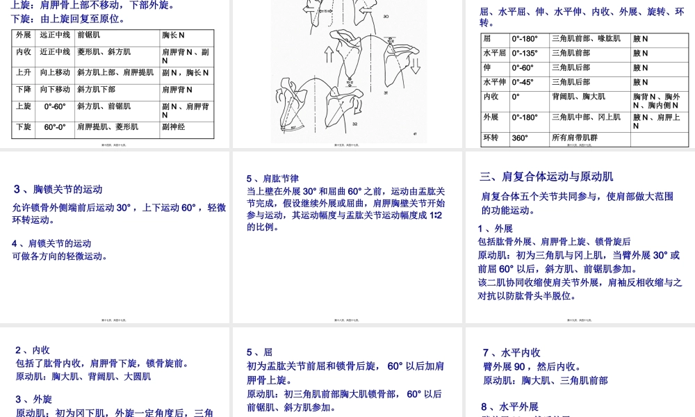 上肢关节运动.pptx