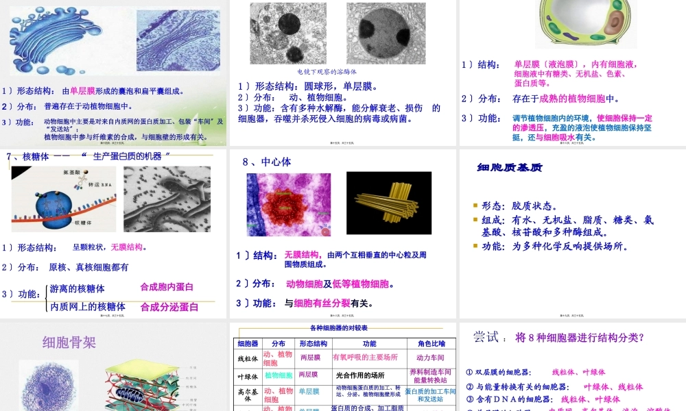 上课《细胞器——系统内的分工合作》.pptx