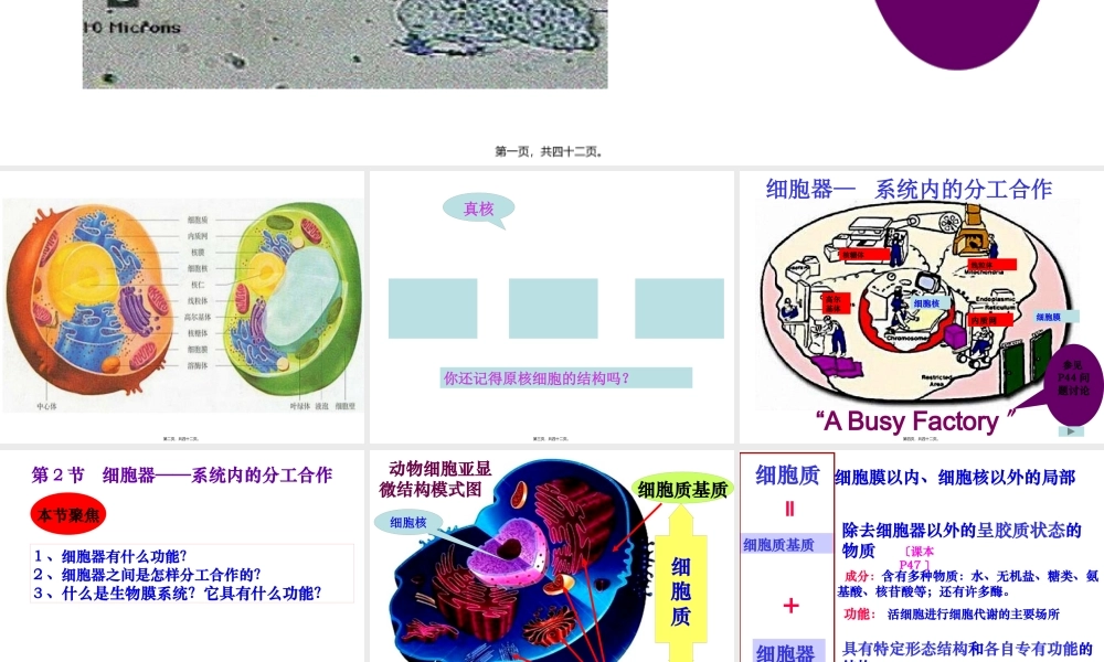 上课细胞器-系统内的分工合作-ppt.pptx