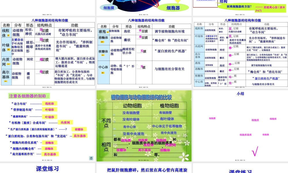 上课细胞器-系统内的分工合作-ppt.pptx