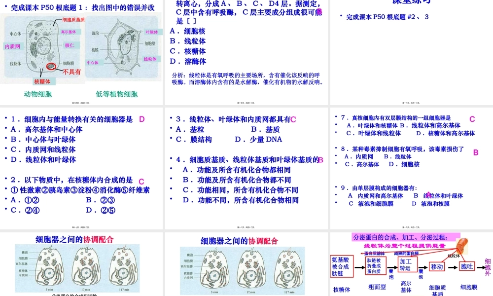 上课细胞器-系统内的分工合作-ppt.pptx