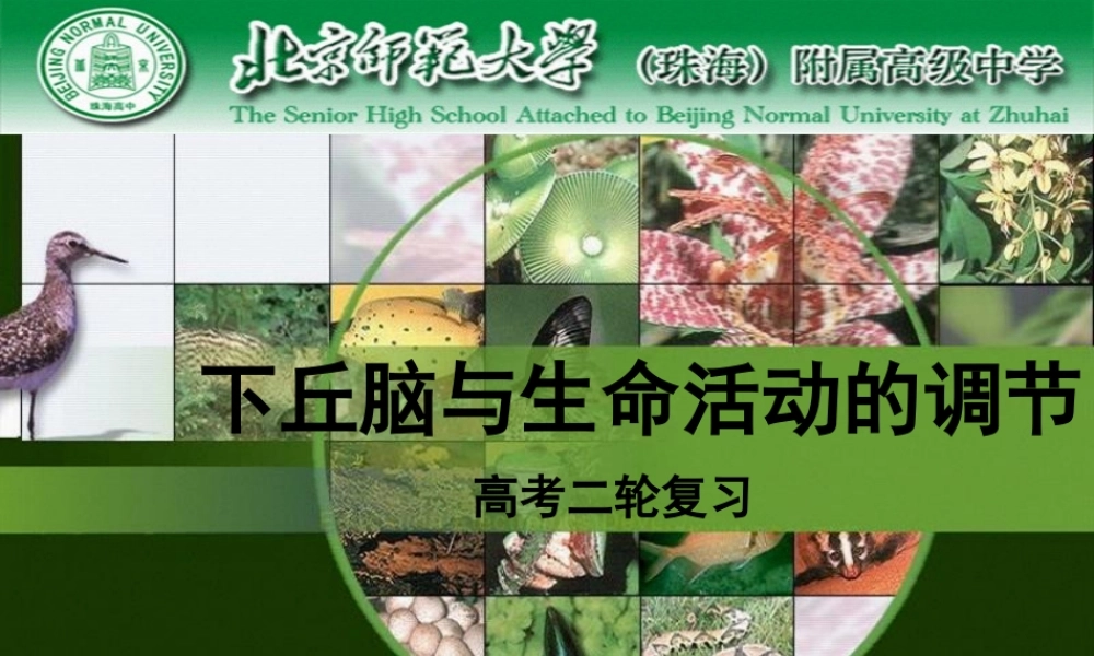 下丘脑与生命活动的调节.pptx