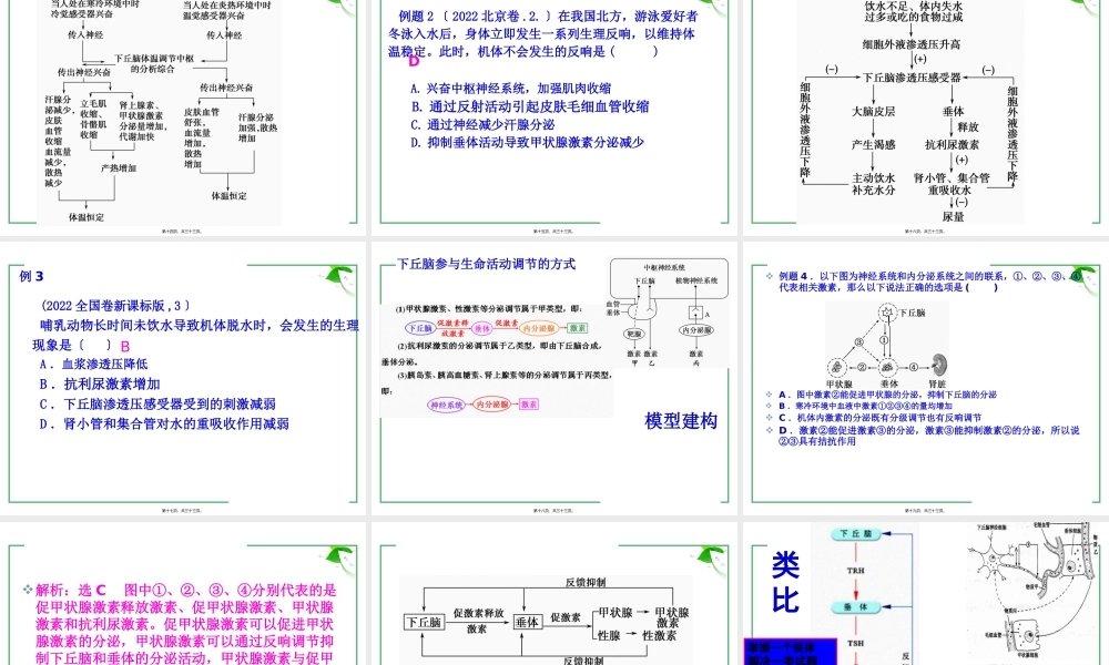 下丘脑与生命活动的调节.pptx