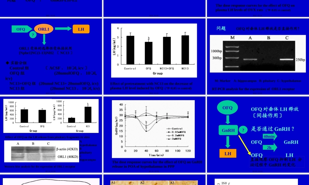下丘脑孤啡肽参与电针调整去卵巢大鼠LH异常释放的神经内分泌机制.pptx