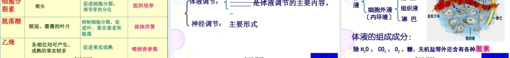 下丘脑中的细胞合成并分泌促甲状腺激素释放激素-温州第二高级中学.pptx