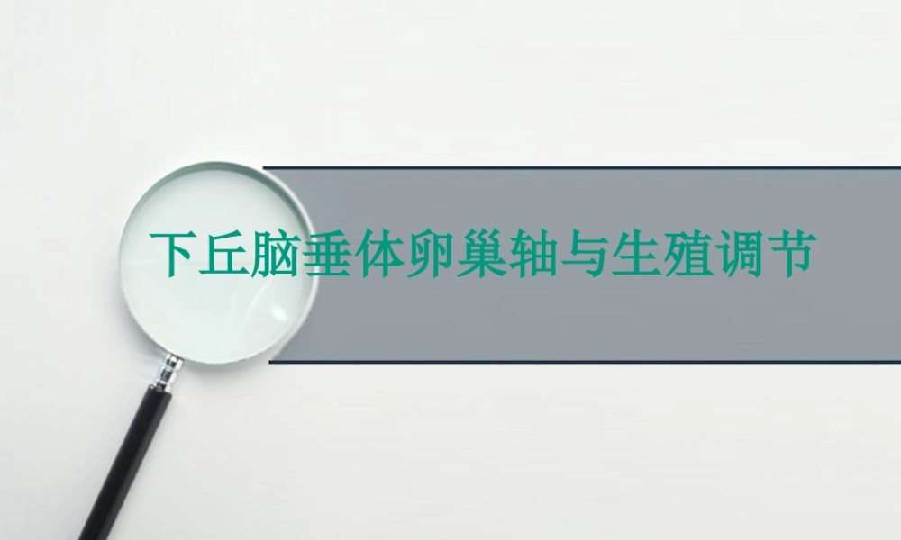 下丘脑垂体性腺轴与生殖调节.pptx