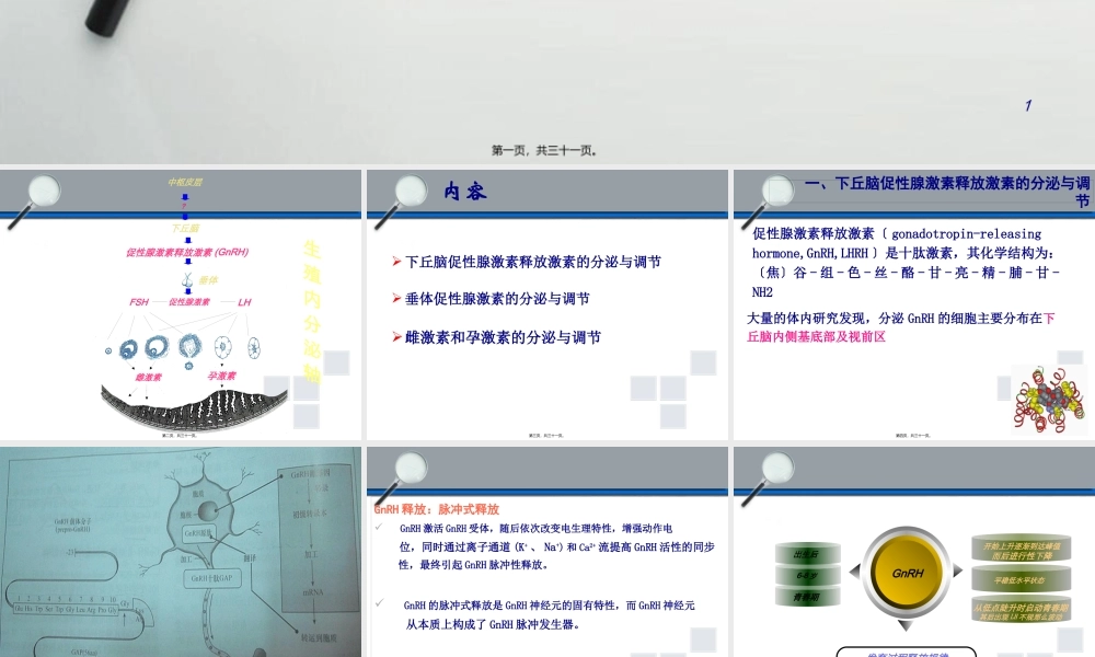 下丘脑垂体性腺轴与生殖调节.pptx