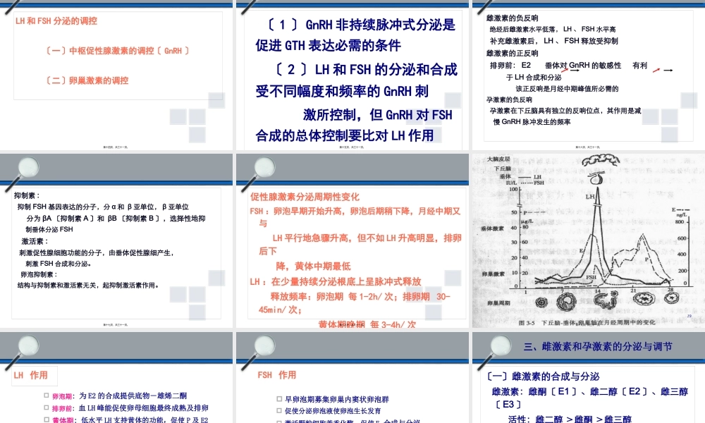 下丘脑垂体性腺轴与生殖调节.pptx