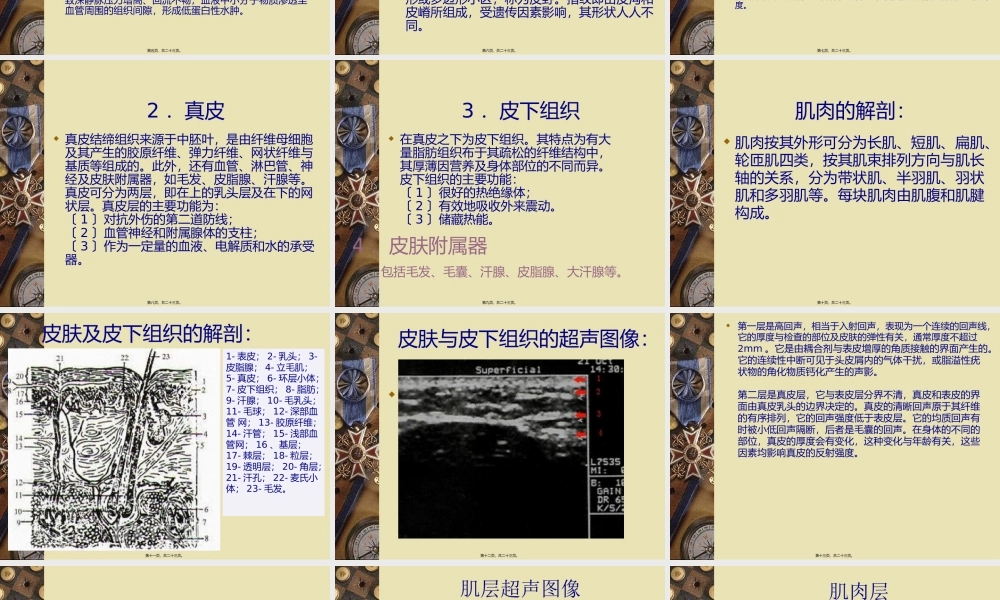 下肢水肿的分类、病因、发病机制及相关超声表现.pptx