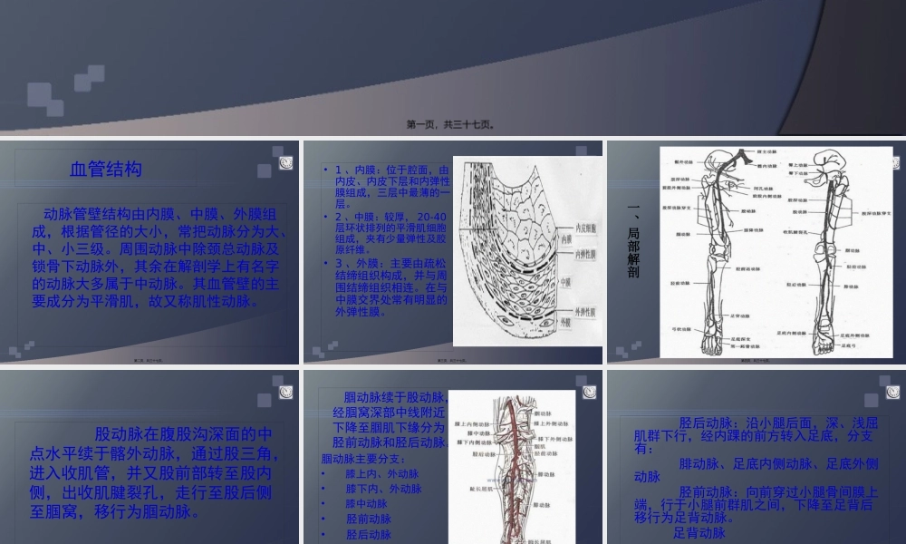 下肢血管超声检查.pptx