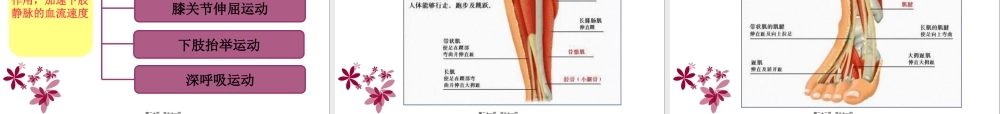 下肢静脉血栓.pptx