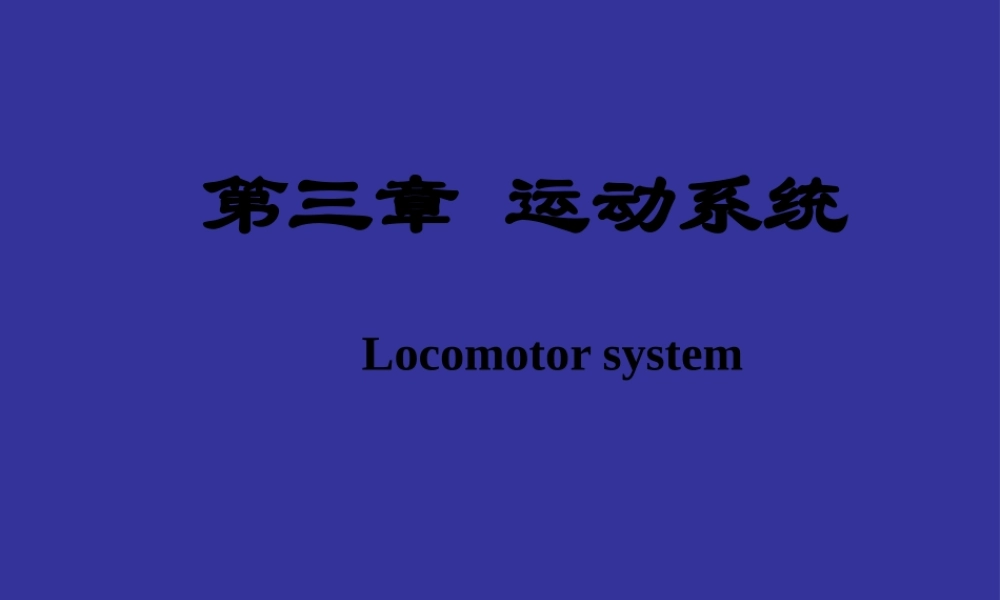 下肢骨主要关节.pptx