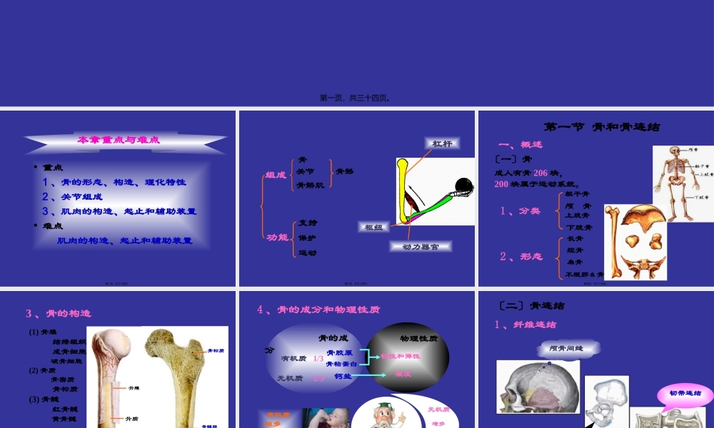下肢骨主要关节.pptx