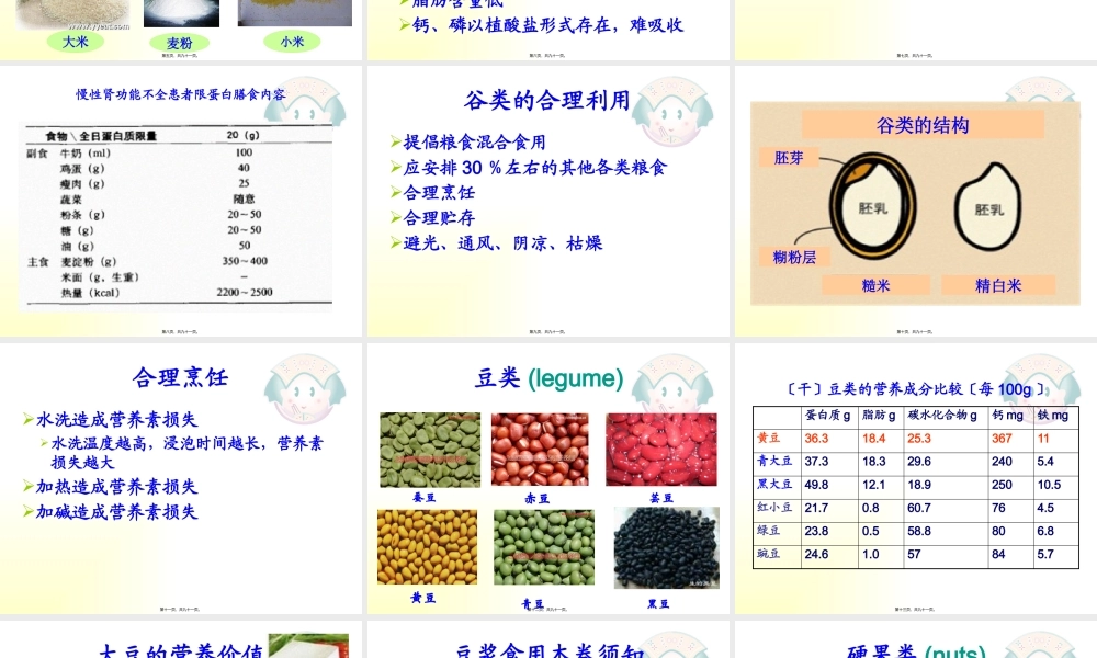 不同生理条件人群的营养.pptx