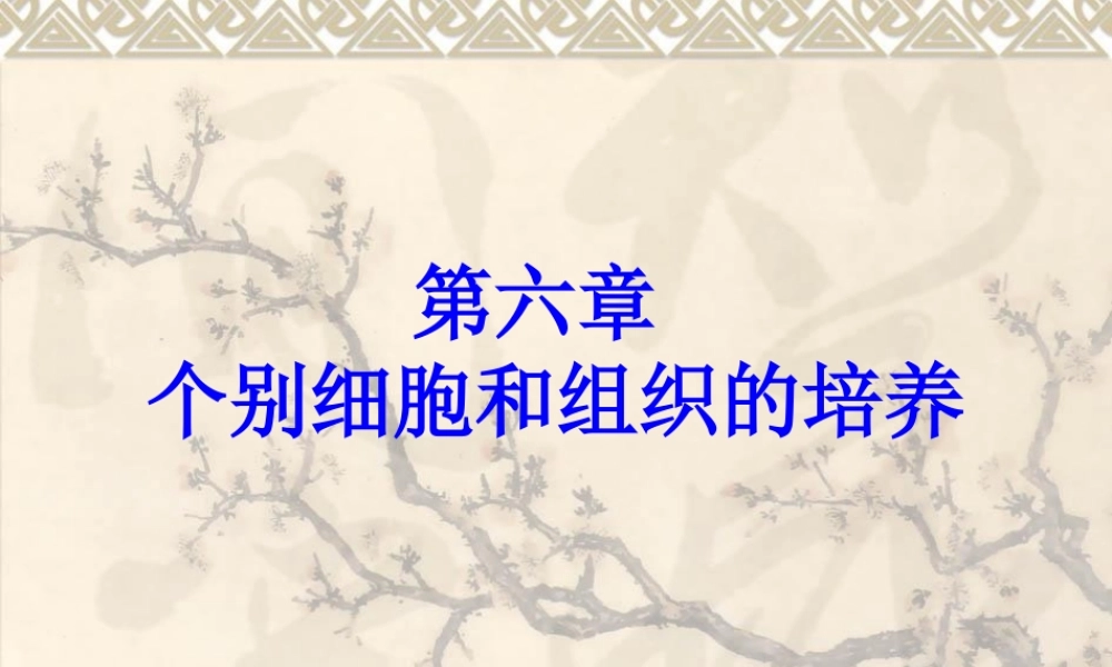 不同类型细胞的培养特点.pptx