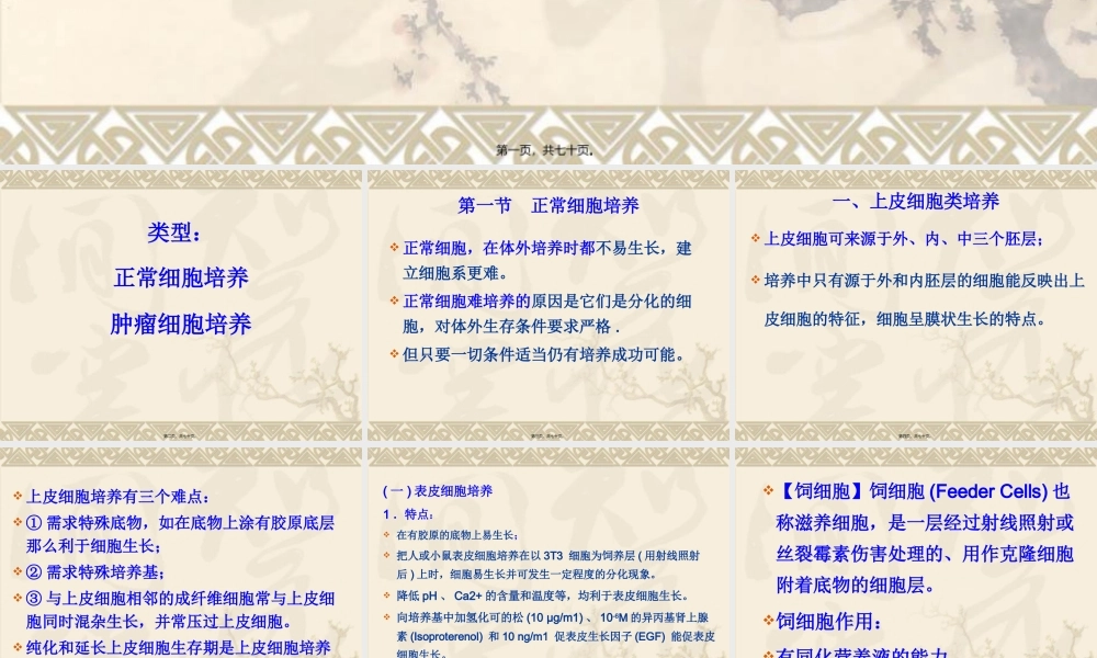 不同类型细胞的培养特点.pptx