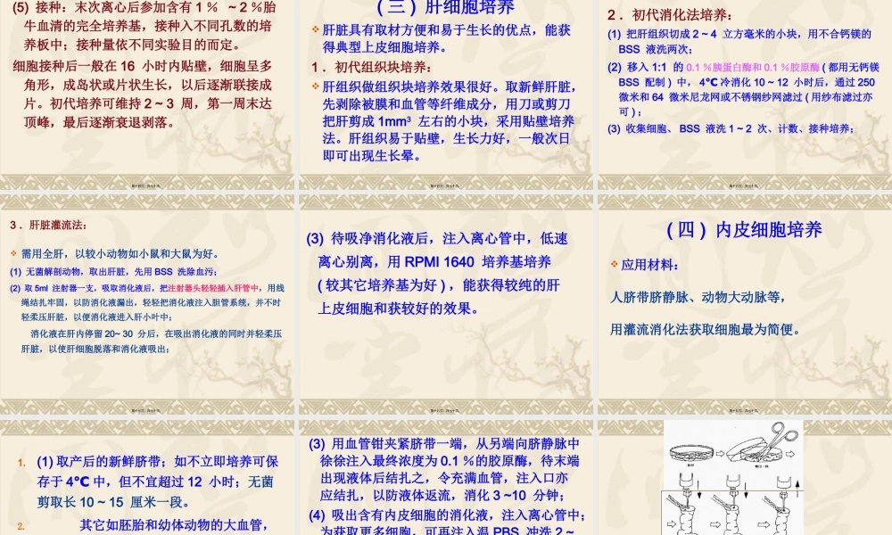 不同类型细胞的培养特点.pptx