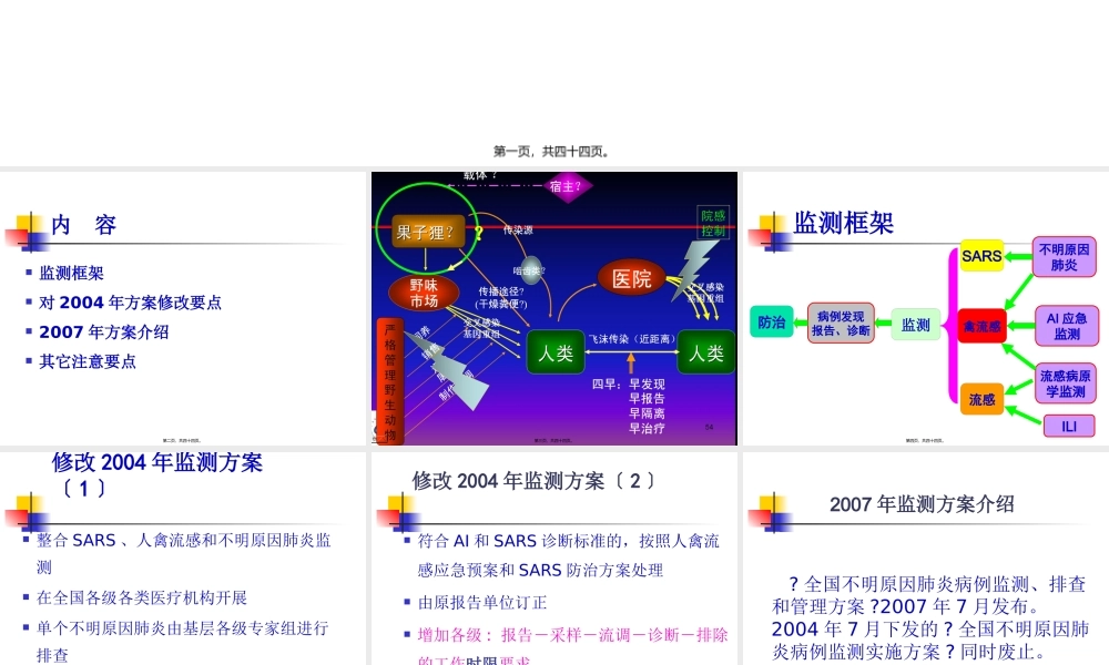 不明原因性肺炎幻灯片.pptx