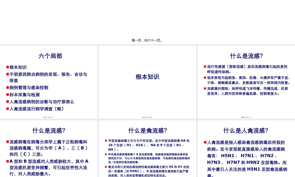 不明原因肺炎(2).pptx