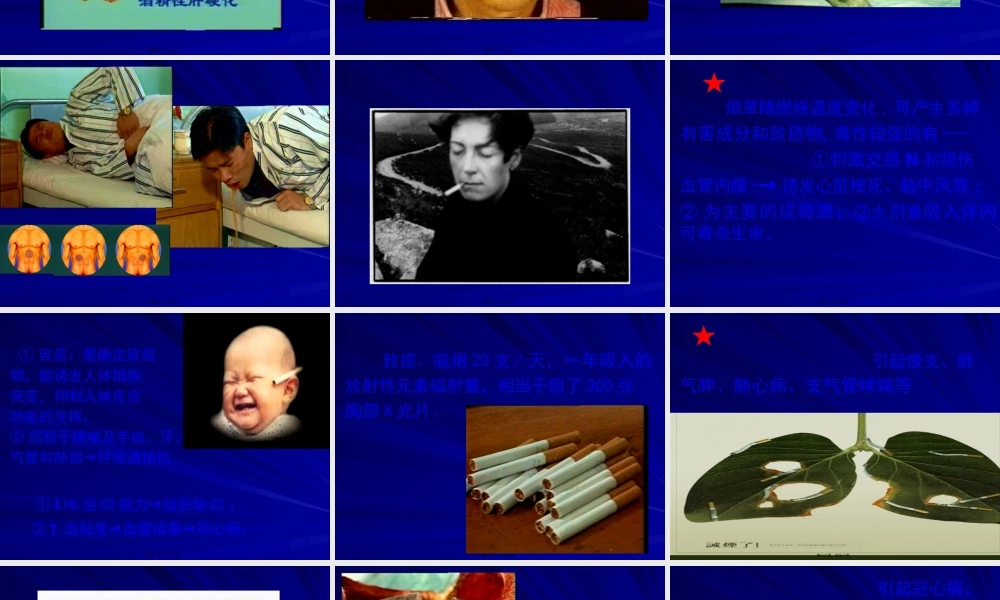 不良行为对健康的影响.pptx